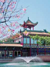 Baomo Garden in spring 