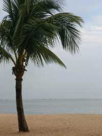 深圳→珠海2天1夜！燈塔&郵局浪漫暴擊攻略