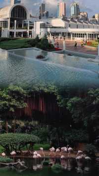 衝！香港九龍公園旅遊攻略