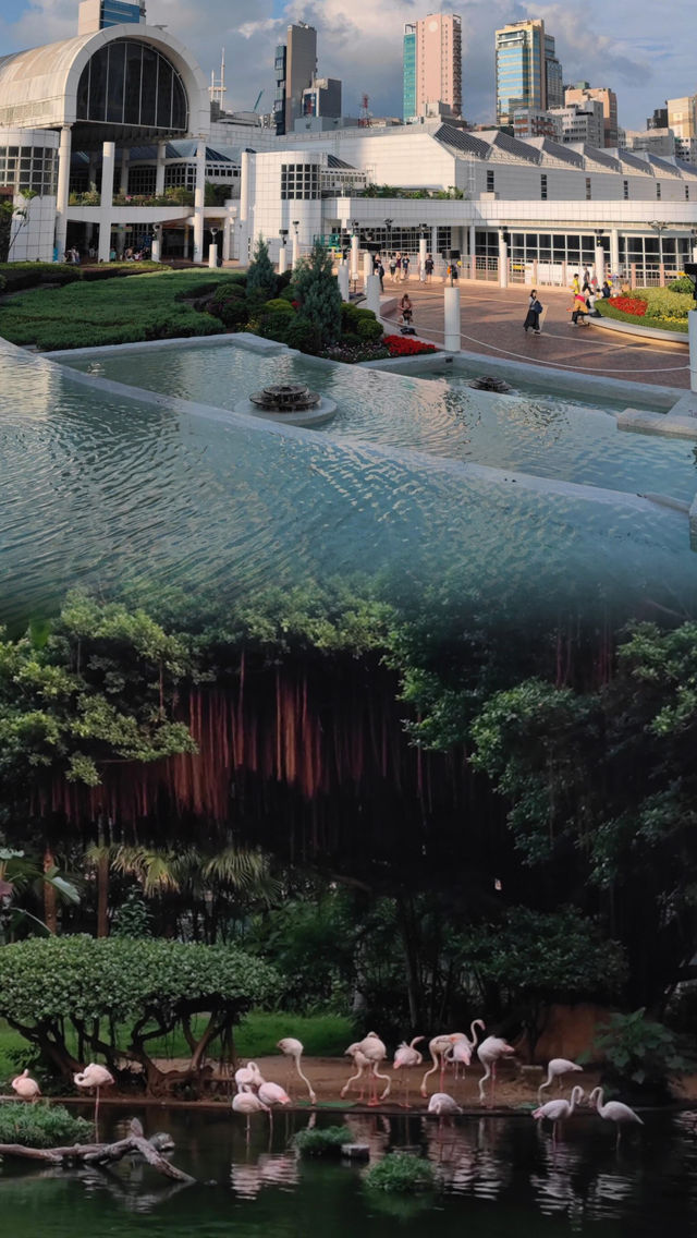 衝！香港九龍公園旅遊攻略