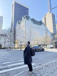 세계에서 가장 유명한 도심지역🗽