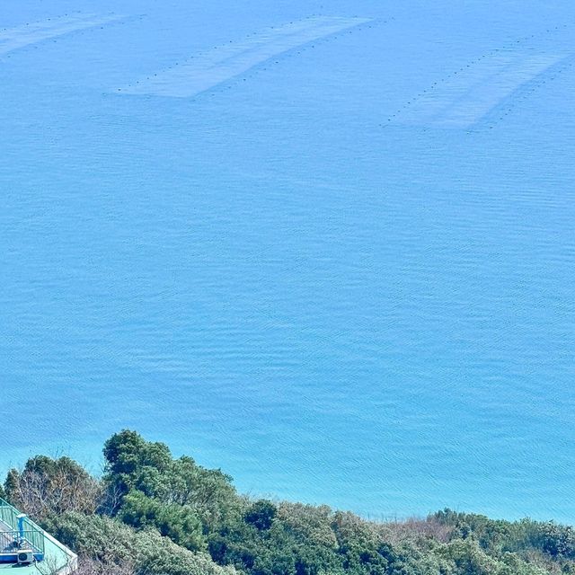 神戶小眾絕美景點！須磨看海坐纜車一日遊攻略！ 