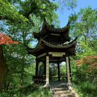 闖入現實版綠野仙蹤🌿中山植物園北園治愈指南