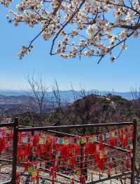 走近香山，走進春天