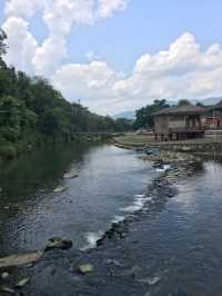 🌱踏入人間綠寶石！漳州茶山