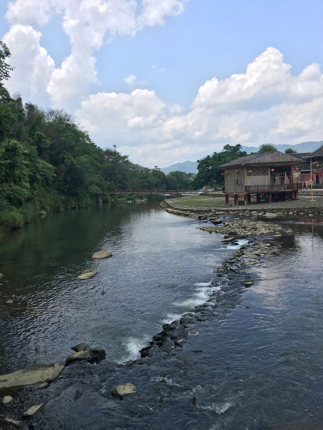 🌱踏入人間綠寶石！漳州茶山
