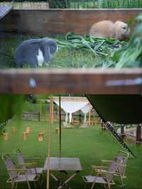 趣住田園！呢間民宿太正啦～