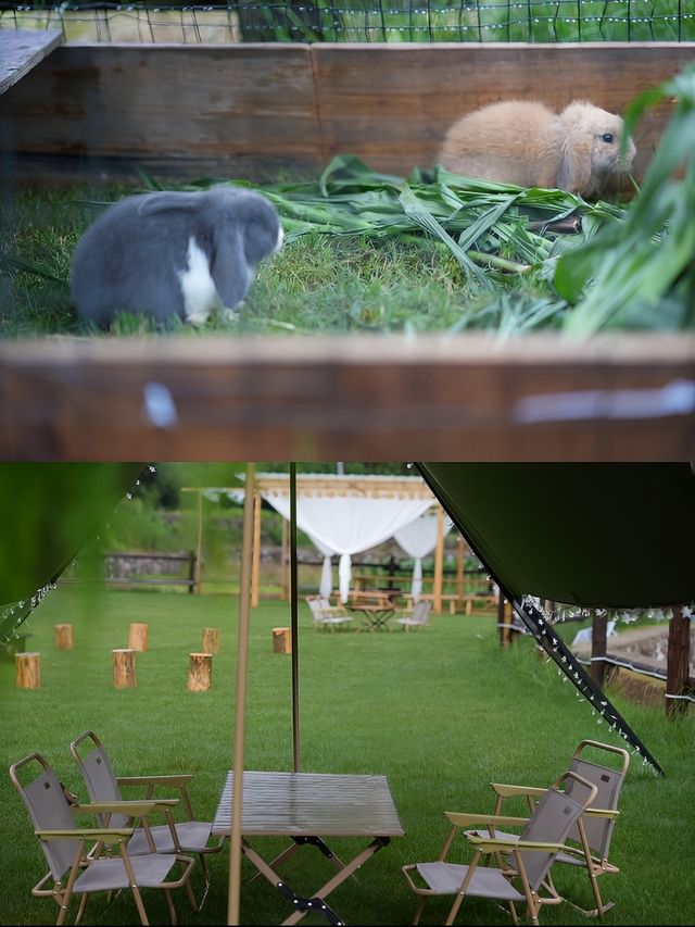 趣住田園！呢間民宿太正啦～