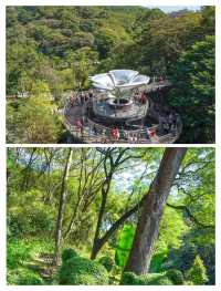 廣州新晉頂流！被問爆嘅「雲蘿植物園」保姆級攻略