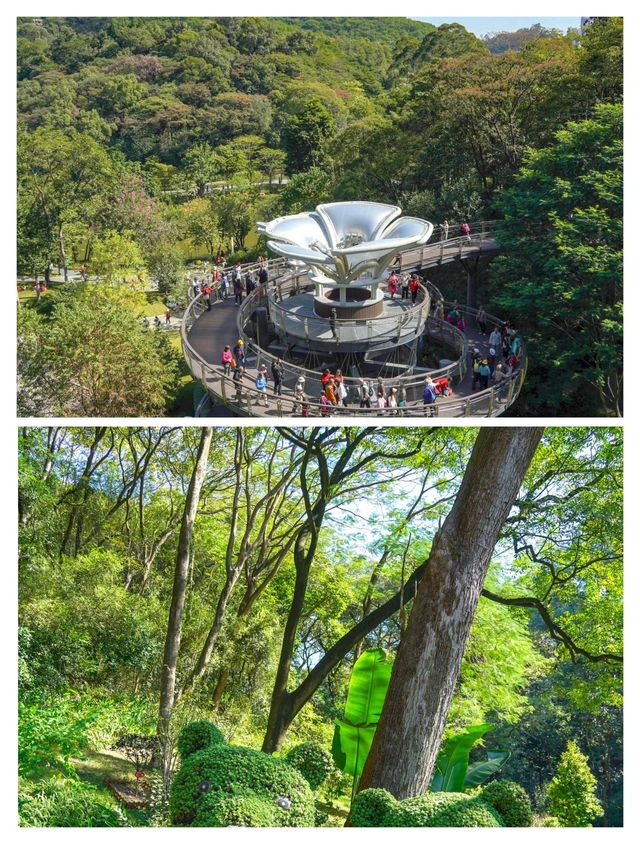 廣州新晉頂流！被問爆嘅「雲蘿植物園」保姆級攻略