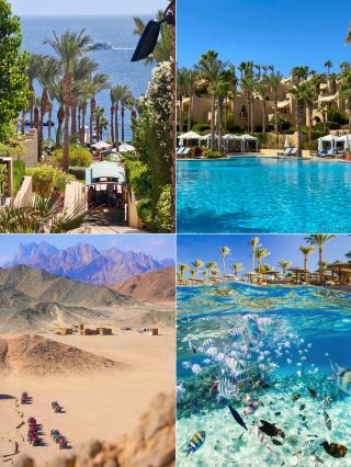 A Real-Life Arabian Nights