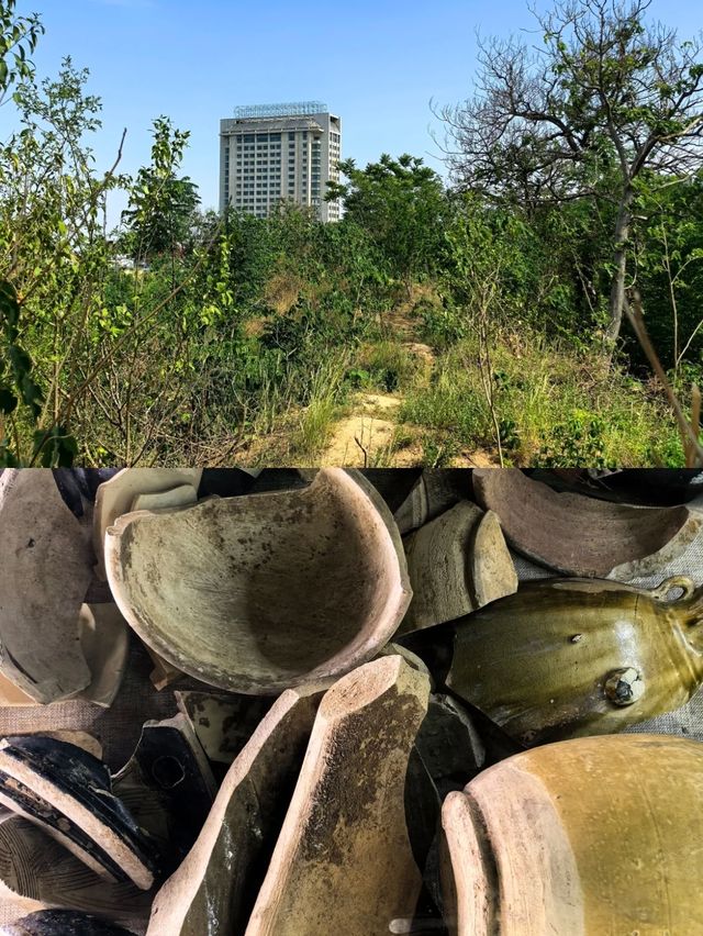 禹州受罪已回，實話拒噴