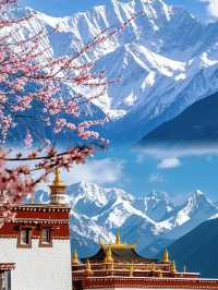 林芝嘅十里桃花同日照金山，真係太震撼啦！