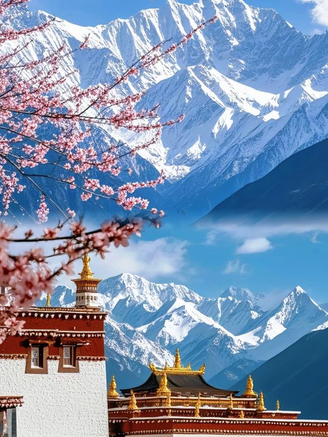 林芝嘅十里桃花同日照金山，真係太震撼啦！