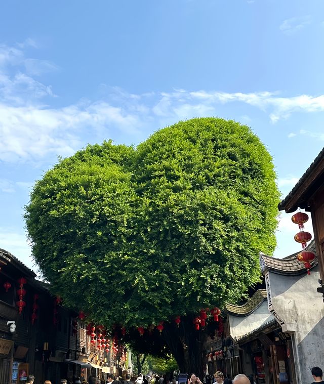 煙火追淚·福州平潭雙城輕旅