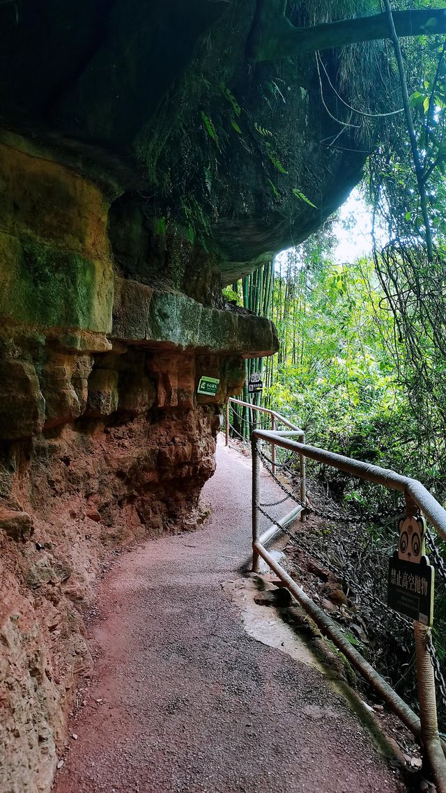川西竹海|25℃綠意秘境清涼之旅全指南