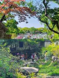 錫惠公園|無錫必打卡寶藏園林保姆級攻略嚟咯