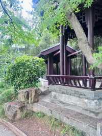 狼山遊記 曲徑通幽的山間路