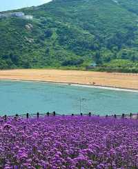 南麂島 | 2025超全避坑指南，睇完再出發！