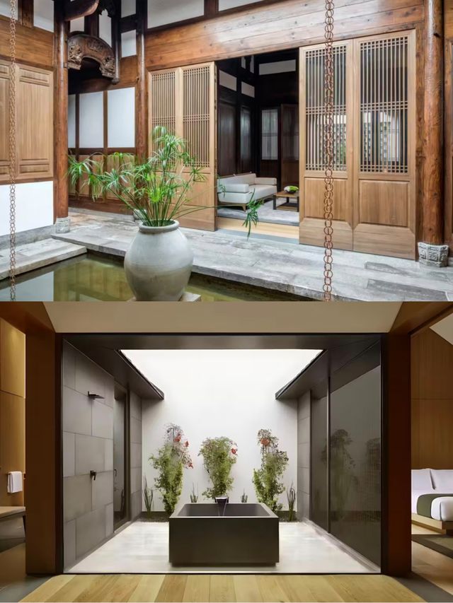 養雲安縵｜萬物有靈，千年古樹下的祈福