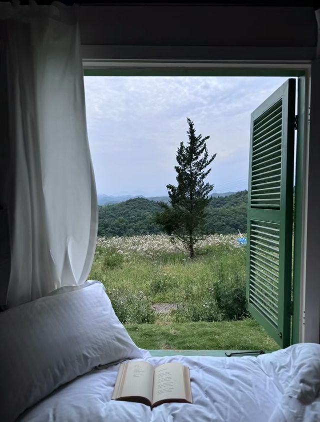 住進會呼吸嘅藝術山谷，畀自然治癒嘅24小時！