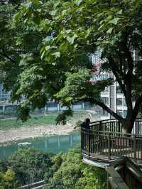 最適合過夏天嘅城市出現咗—重慶三日遊