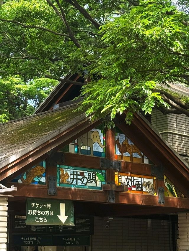 井之頭恩賜公園交通攻略：輕鬆抵達市區綠洲