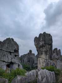A Visit to The Stone Forests (and Stone Teeth) of Guilin 🏔️🌳