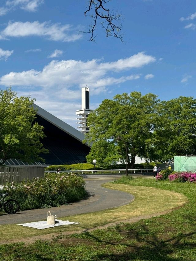 東京最適合運動的大公園，距離澀谷僅8分鐘