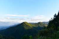 隱居山林不計年，觀雲已是仙