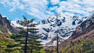 Returning to the Snowy Dreamland: The Lotus Paradise of Medog