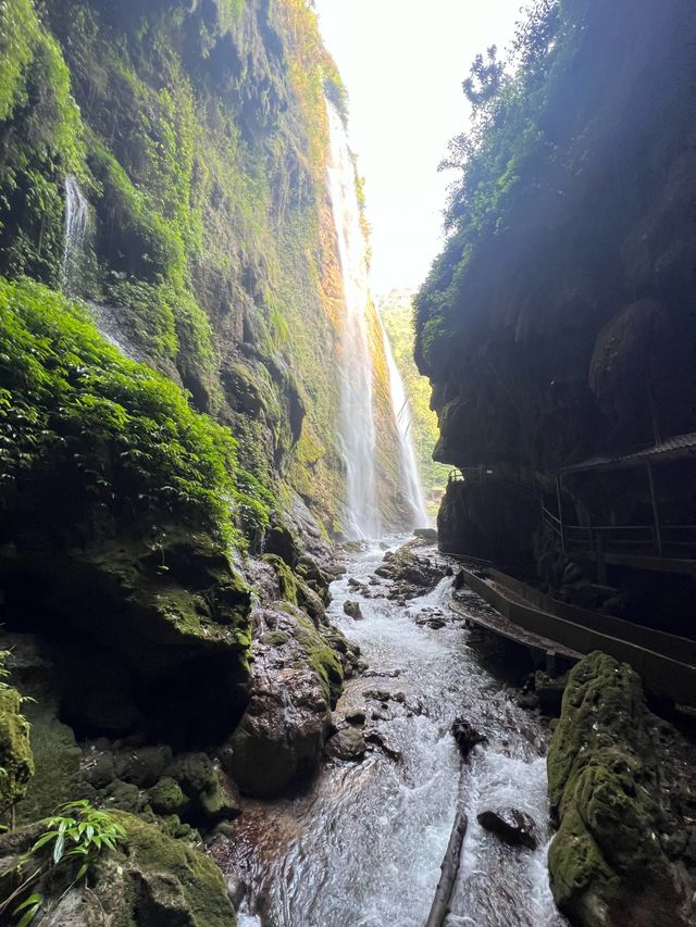 隱藏在西南邊陲的神秘峽谷，究竟係咩樣？