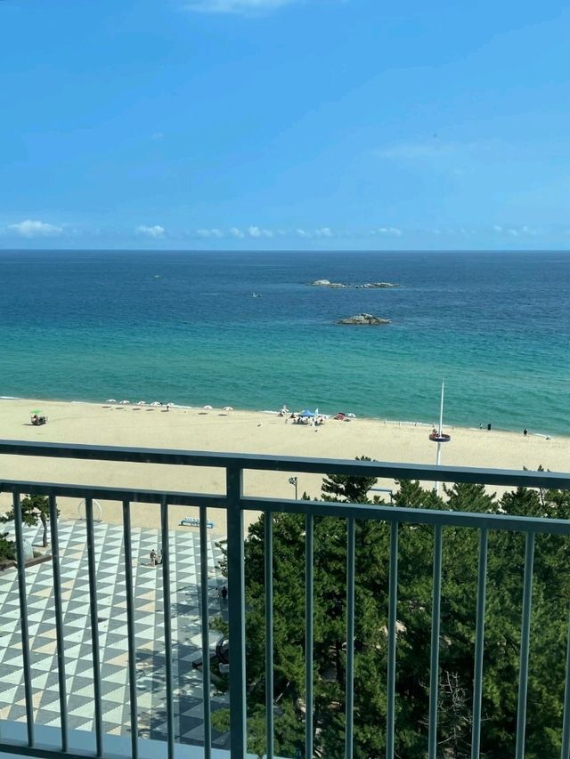 🌊韓國江陵必住！20樓絕美無邊泳池酒店，浪漫值拉滿✨