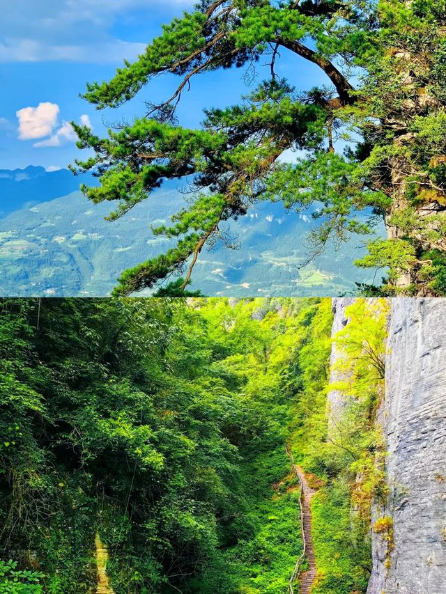 湖北恩施 | 避暑勝地超全旅行攻略