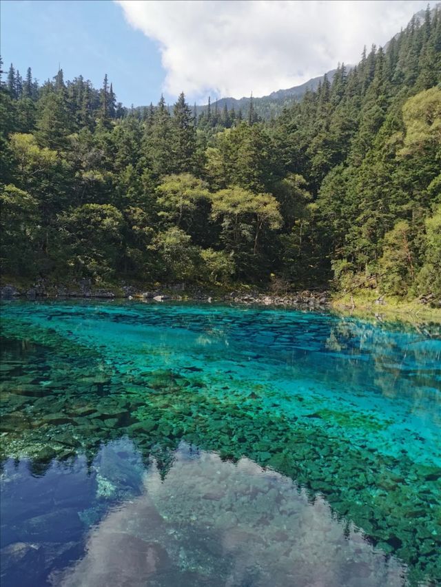四川九寨溝探尋17 - 25℃嘅森林秘境