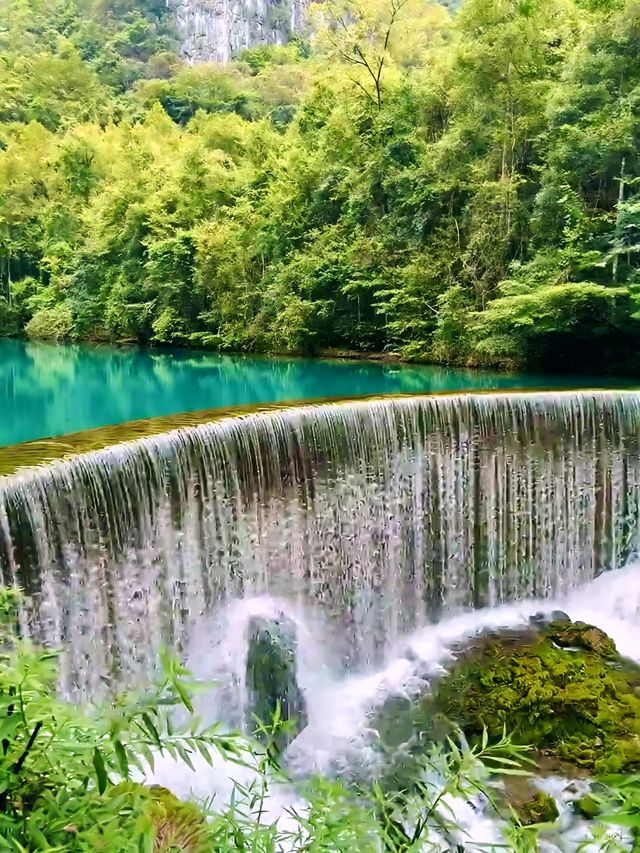 跌入綠寶石！荔波の山水小精靈收養手冊