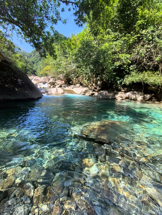 夏日嘅快樂