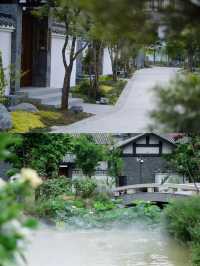 故園今夢 | 入住盛夏嘅莊昇曉月園林酒店