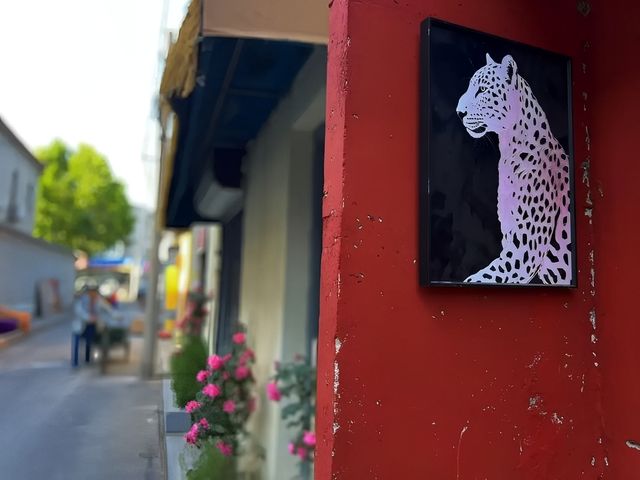 保定菊胡同