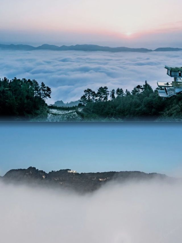 重慶！可以喺山林雲海入面游水嘅山間民宿