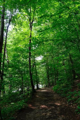 Nanyang Jiuhua Ancient Trail