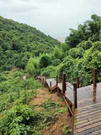 被嚴重低估嘅象山秘境！將童話場景1：1搬入現實