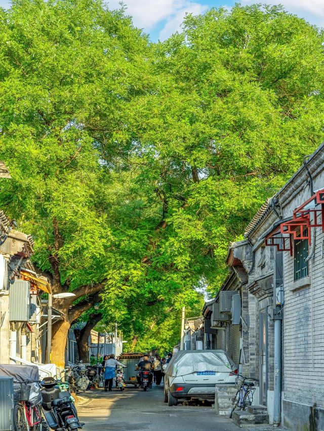 至今為止我最愛嘅北京Citywalk路線出現咗