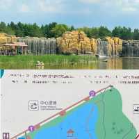 哈爾濱太陽島攻略｜本地人私藏嘅寶藏玩法