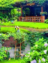 莫干山親子遊 | 住進童話裡的竹林花園
