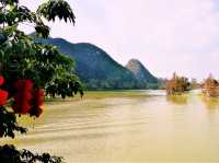 Zhaoqing Xinghu National Wetland Park: The Ultimate Backpacker's Guide To Dive Into WetLand