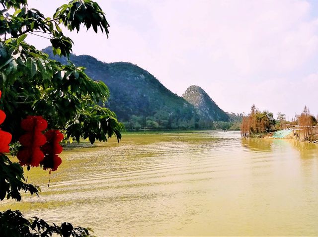 Zhaoqing Xinghu National Wetland Park: The Ultimate Backpacker's Guide To Dive Into WetLand