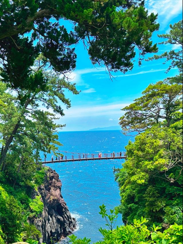 伊豆城崎海岸  超治癒嘅克萊因藍，令人驚艷咗好耐啊！