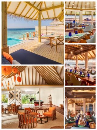Sun Island Iruveli Travel Notes｜Turning Days into Coconut Grove Honey in the Maldives