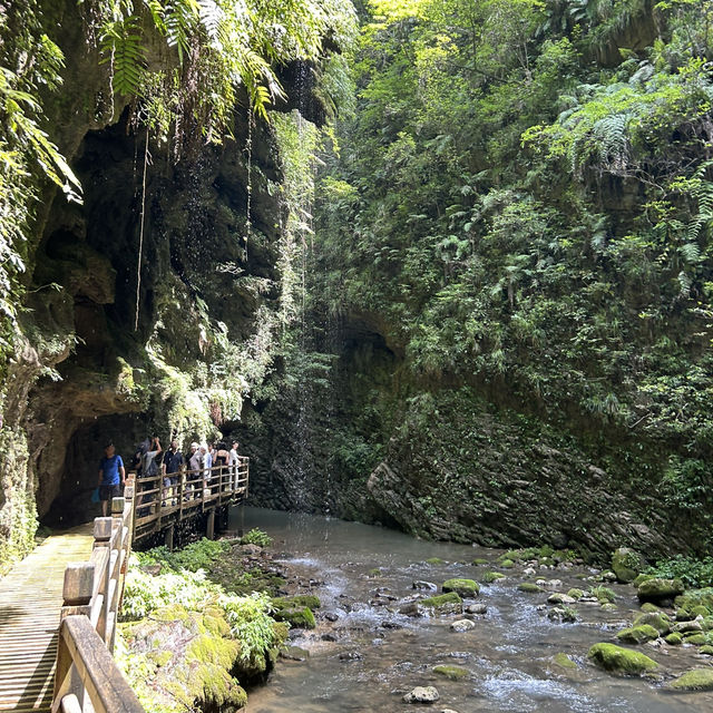 Detailed 1 Day (of 4) Itinerary for Zhangjiajie - Grand Canyon and Yellow Dragon Cave